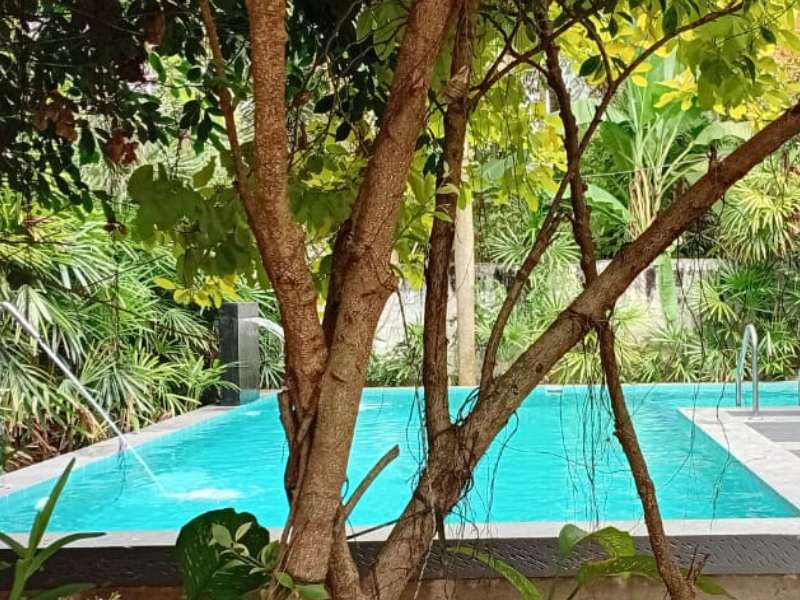 Untitled design (33)